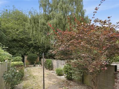 Picture 16